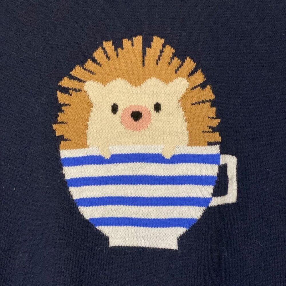 Banana Republic Factory Hedgehog in a Teacup Navy Sweater – SZ L - Picture 3 of 5